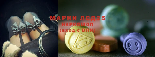 стафф Армянск