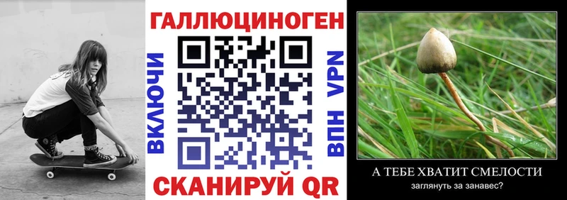 купить наркотик  Ростов  Псилоцибиновые грибы мицелий 
