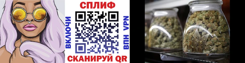Бошки марихуана марихуана Ростов
